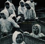 CD Available Jelly - Happy Camp, Ophalen of Verzenden, 1980 tot heden, Gebruikt, Jazz