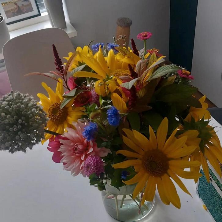 BIO bloemenmix van alle soorten uit eigen moestuin, Tuin en Terras, Bloembollen en Zaden, Volle zon, Ophalen of Verzenden