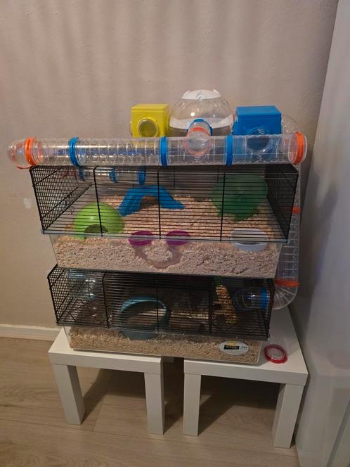 Hamster hok 60x36,5x30, Dieren en Toebehoren, Knaagdieren en Konijnen | Hokken en Kooien, Zo goed als nieuw, Hok, Minder dan 60 cm