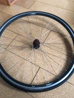 Ryde Edge R25 achterwiel clincher campagnolo body, Ophalen of Verzenden, Zo goed als nieuw, Racefiets, Wiel