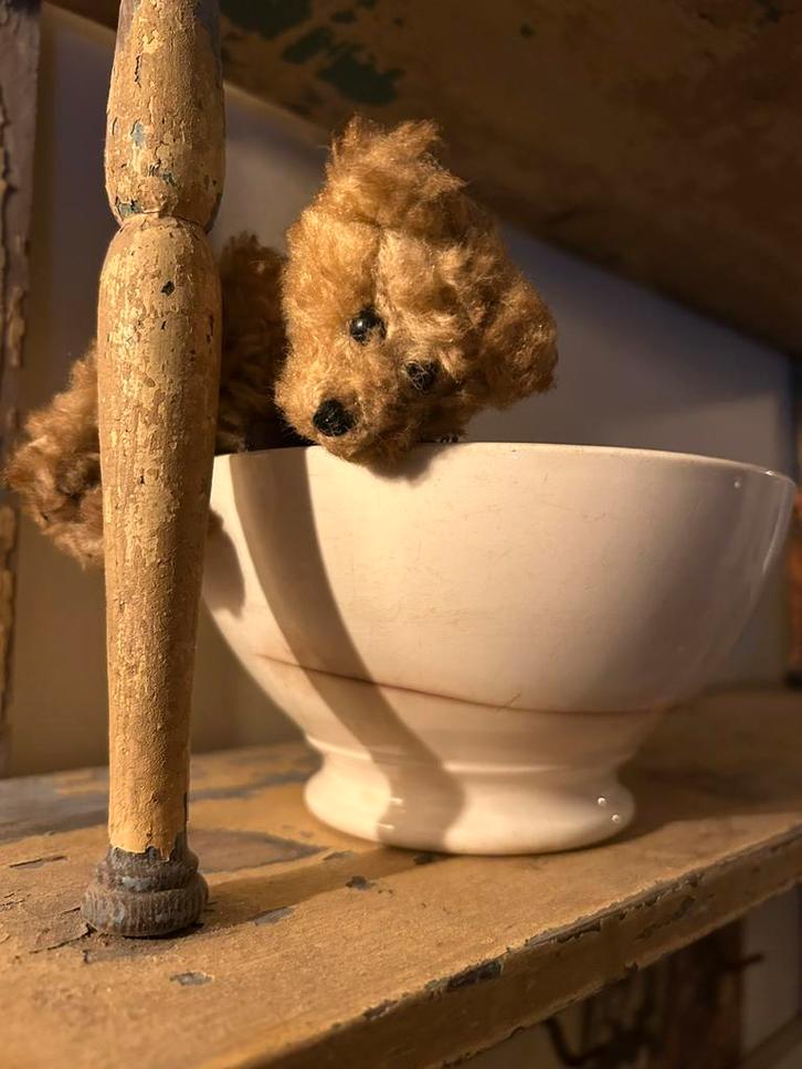 Beboterde Petrus Regout kom en klein beertje, Antiek en Kunst, Curiosa en Brocante, Ophalen of Verzenden