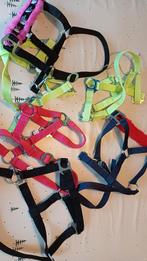 Halster Halsters shetland pony full Nieuw, Dieren en Toebehoren, Ophalen of Verzenden, Nieuw, Overige soorten