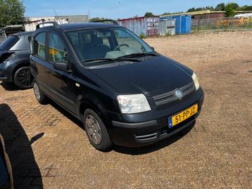 Fiat Panda 1.2 Dynamic beschikbaar voor biedingen