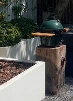 Green Egg MiniMax Tafelmodel + Meerpaal & Hoes, Ophalen, Gebruikt