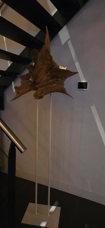 Drijfhout Sculptuur - Uniek Kunstobject beschikbaar voor biedingen