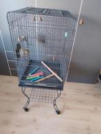 Vogelkooi, leeg, Dieren en Toebehoren, Vogels | Overige Vogels, Mannelijk