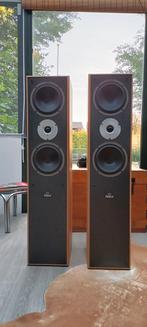 Magnat Vector 55 Edition, Audio, Tv en Foto, Luidsprekers, Ophalen, Gebruikt, Magnat, 120 watt of meer