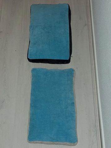 2 Lifetime kussens 30x50 beschikbaar voor biedingen