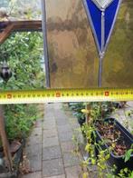 Glas in lood decoratie, Ophalen of Verzenden