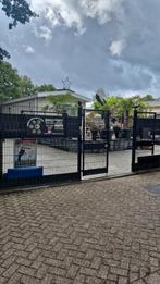 Siervogels & zangvogels – traceerbaar & verantwoord – De Toe, Dieren en Toebehoren, Vogels | Overige Vogels, Meerdere dieren