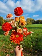Bruidsboeket te huur (Zuid-Limburg) ️, Ophalen of Verzenden