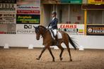 Betrouwbare, stoere pony te koop!, Dieren en Toebehoren, ZZ, Ruin, Dressuurpony, 11 jaar of ouder
