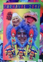Al1108 poster carnaval 2018 - Stein - Limburg- Fons Verhoeve, Verzamelen, Posters, Rechthoekig Staand, Ophalen of Verzenden, Zo goed als nieuw