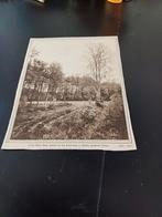Afbeelding ruwe berk Keizersweg Gietelo Voorst 1916, Ophalen of Verzenden, Voor 1920, Knipsel(s)