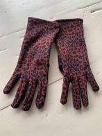 Panterprint strakke handschoenen Hema L/Xl  bruin blauw, Kleding | Dames, Handschoenen, Nieuw, Hema, Maat 42/44 (L)