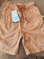 Nieuw korte broek maat 80 babyface, Kinderen en Baby's, Babykleding | Maat 80, Babyface, Broekje, Meisje, Nieuw