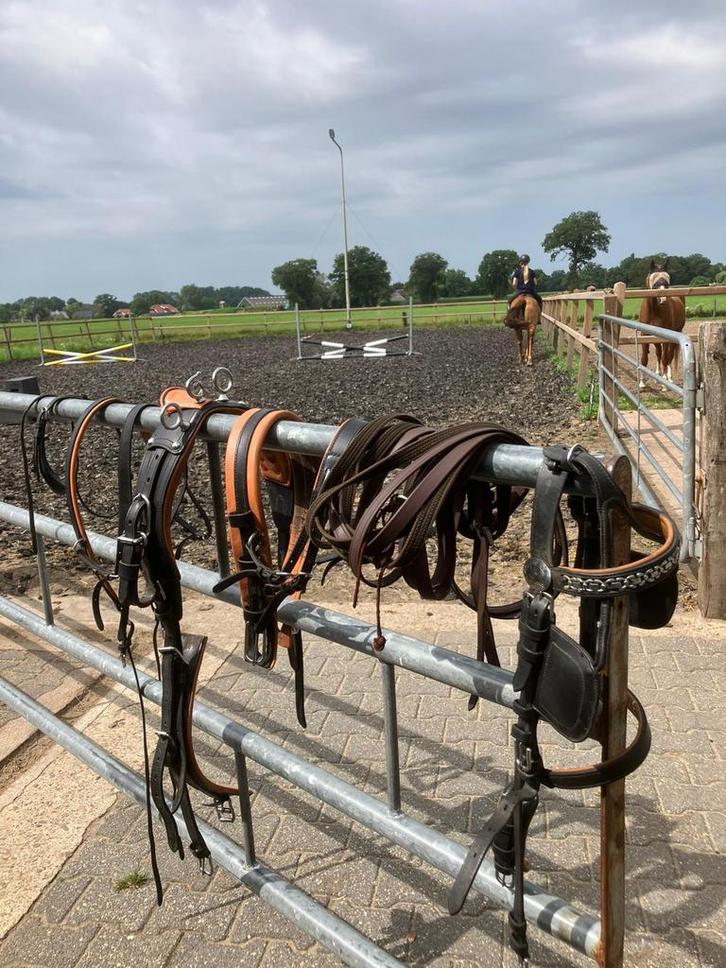 Super net pony tuig Ideal, Dieren en Toebehoren, Paarden en Pony's | Hoofdstellen en Tuigage, Zo goed als nieuw, Overige soorten