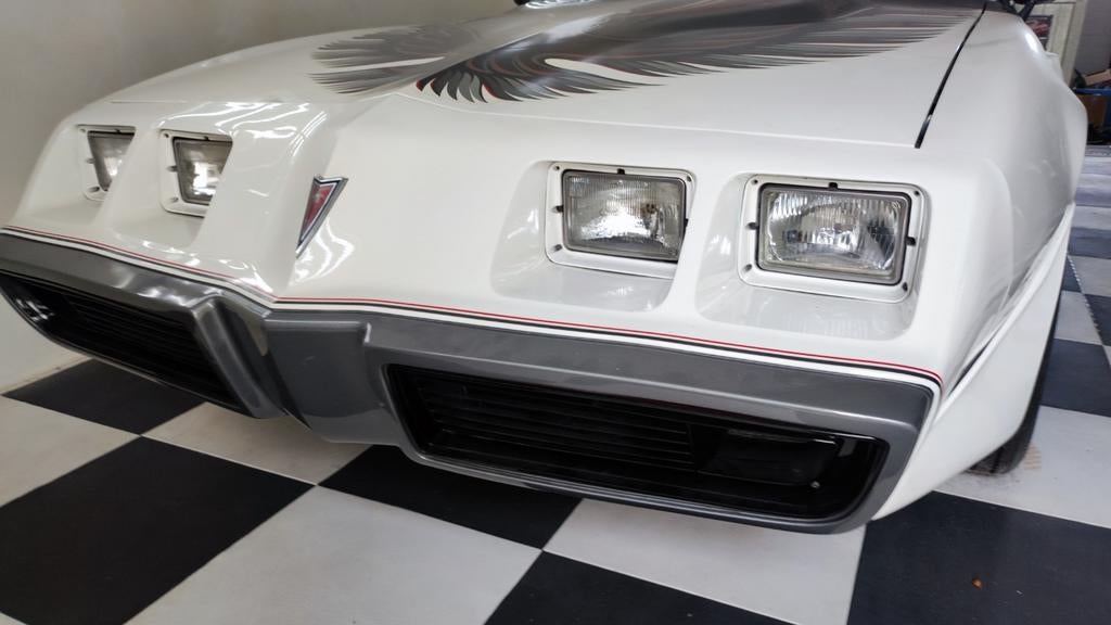 Set nwe Grilletjes Pontiac Firebird 1978 tot 1981, Pontiac, Voor, Nieuw, Ophalen of Verzenden