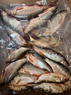 Doodaas Voorns, Ophalen of Verzenden, Nieuw, Overige typen