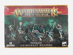 Warhammer Age of Sigmar Nighthaunt Grimghast Reapers, Hobby en Vrije tijd, Wargaming, Warhammer, Ophalen of Verzenden, Zo goed als nieuw