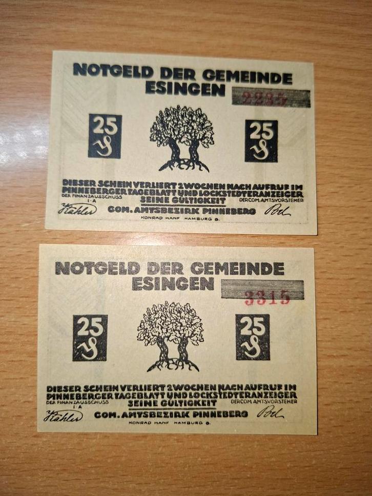 Duits Notgeld Esingen Noodgeld, Postzegels en Munten, Bankbiljetten | Europa | Niet-Eurobiljetten, Duitsland, Ophalen of Verzenden