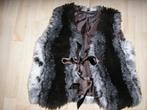 Bodywarmer maat L, Kleding | Dames, Bodywarmers, Ophalen of Verzenden, Zo goed als nieuw, Maat 38/40 (M)