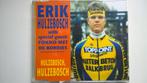 Erik Hulzebosch - Hulzebosch, Hulzebosch, Maxi-single, Ophalen of Verzenden, Zo goed als nieuw, 1 single