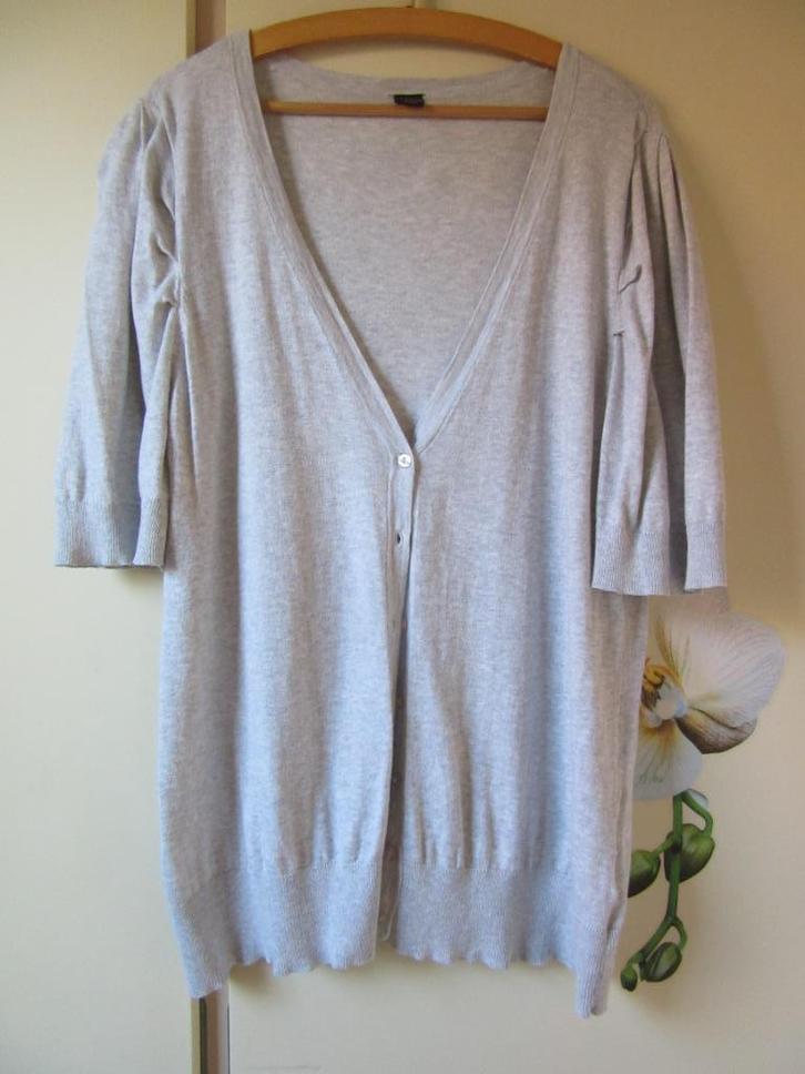 Vestje MS Mode - korte mouw - XXL, Kleding | Dames, Truien en Vesten, Zo goed als nieuw, Maat 46/48 (XL) of groter, Grijs, Verzenden