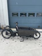 Urban Arrow Family Cargo Line 2x500 Watt, Overige merken, 4 kinderen of meer, Gebruikt, Elektrisch