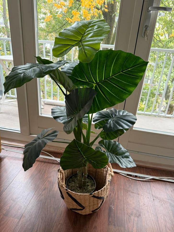 Kunstplant in mand - decoratief en onderhoudsvrij!, Huis en Inrichting, Woonaccessoires | Kunstplanten en Kunstbloemen, Zo goed als nieuw