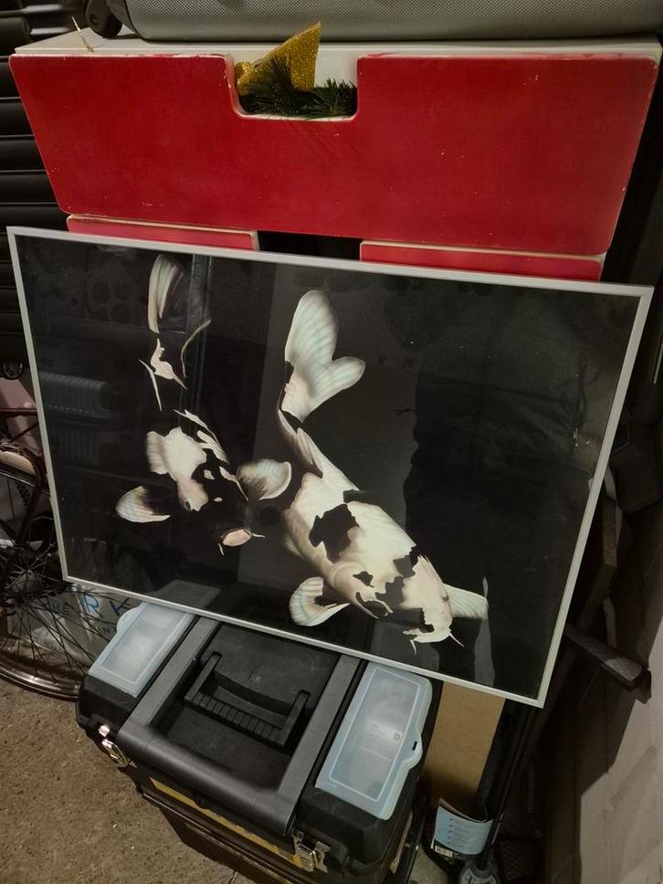 Schilderij van Koi Karper, Huis en Inrichting, Woonaccessoires | Schilderijen, Tekeningen en Foto's, Zo goed als nieuw, Schilderij