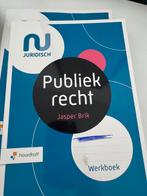Jasper Brik - Werkboek publiekrecht, Ophalen of Verzenden, Zo goed als nieuw, Jasper Brik