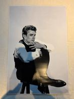 Poster James Dean - 61 x 91 cm, Ophalen