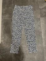 Broek print Rozes of Avalon maat S / 38, Ophalen, Zo goed als nieuw, Maat 36 (S), Lang