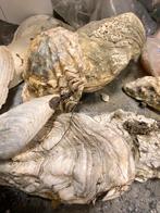 Schelpen, Ophalen, Overige typen