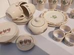 Jet servies Garden, Huis en Inrichting, Keuken | Servies, Overige typen, Ophalen of Verzenden, Zo goed als nieuw, Overige stijlen