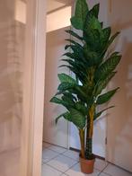 Kunstplant, Ophalen, Gebruikt