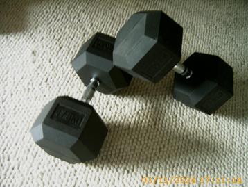 Hexagon Dumbells 47.5 Kg Nieuw Hex Hexa 2x dumbell fitness beschikbaar voor biedingen