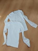 2 longsleeves van de Hema. Maat 146/152, Kinderen en Baby's, Kinderkleding | Maat 146, Jongen of Meisje, Gebruikt, Ophalen of Verzenden