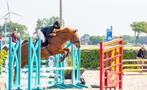 Allround E pony te koop, Dieren en Toebehoren, Pony's, Ruin, L, 11 jaar of ouder, Recreatiepony
