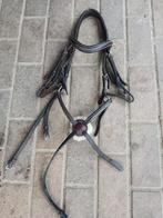 Hoofdstel Kavalkade, Ophalen, Zo goed als nieuw, Springen