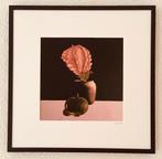 “Stilleven met bloem”, Ophalen of Verzenden