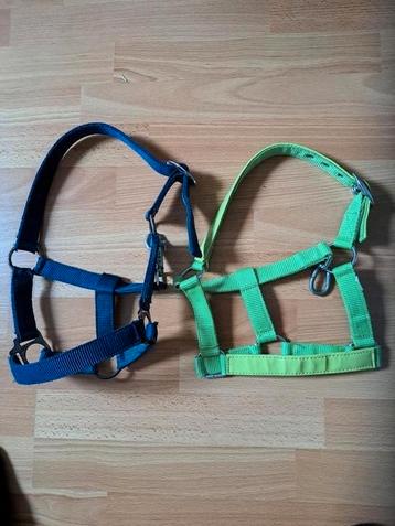 Aangeboden: mini shet, halsters beschikbaar voor biedingen