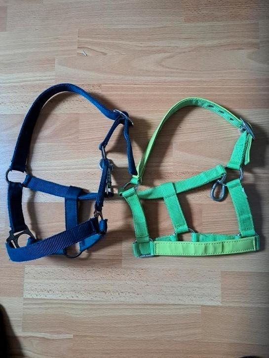 Aangeboden: mini shet, halsters, Dieren en Toebehoren, Paarden en Pony's | Hoofdstellen en Tuigage, Zo goed als nieuw, Overige soorten