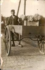 Bollenstreek - Fotokaart, Ophalen of Verzenden, 1920 tot 1940, Ongelopen, Zuid-Holland