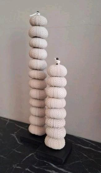 Prachtige set beige echte zeeegels op zwarte voet hotel chiq beschikbaar voor biedingen