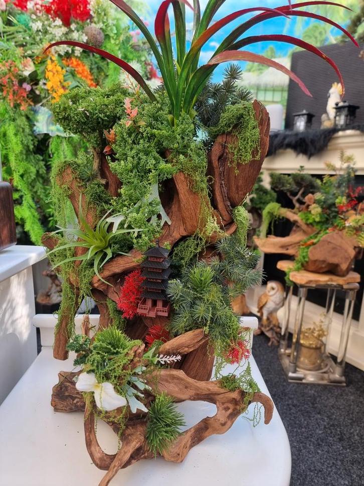 ZEER MOOI STUK OPGEMAAKT KIENHOUT EEN  SIERRAAD IN UW KAMER, Dieren en Toebehoren, Vissen | Aquaria en Toebehoren, Plant(en), Steen of Hout