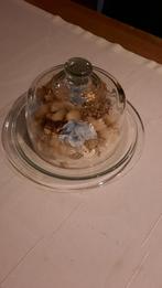 Glazen Stolp met Droogbloemen, Huis en Inrichting, Woonaccessoires | Kandelaars en Kaarsen, Overige materialen, Ophalen of Verzenden