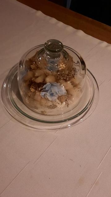 Glazen Stolp met Droogbloemen beschikbaar voor biedingen