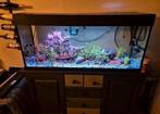 Ferplast Aquarium 190 liter (lichte lekkage), Dieren en Toebehoren, Vissen | Aquaria en Toebehoren, Ophalen, Gebruikt, Leeg aquarium